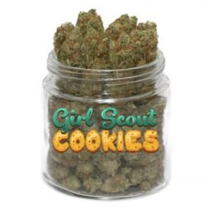Girl Scout Cookies
