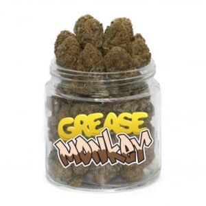 Grease monkey