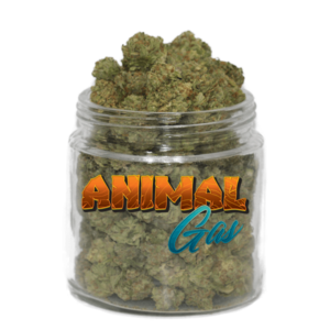Animal Gas