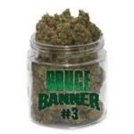 Bruce banner