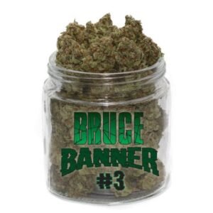 Bruce banner